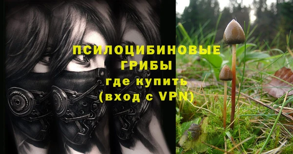 первитин Володарск