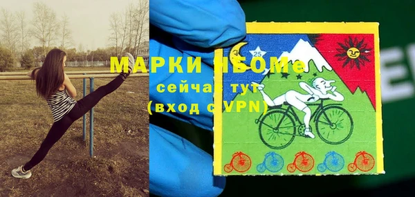 стафф Протвино