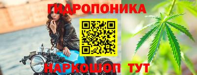шишки Бузулук