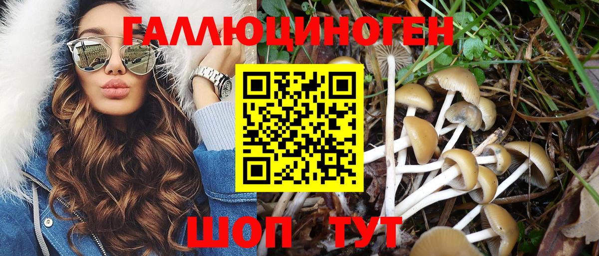 Галлюциногенные грибы MAGIC MUSHROOMS Звенигород