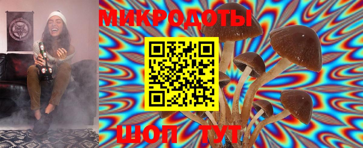 Галлюциногенные грибы мицелий Звенигород